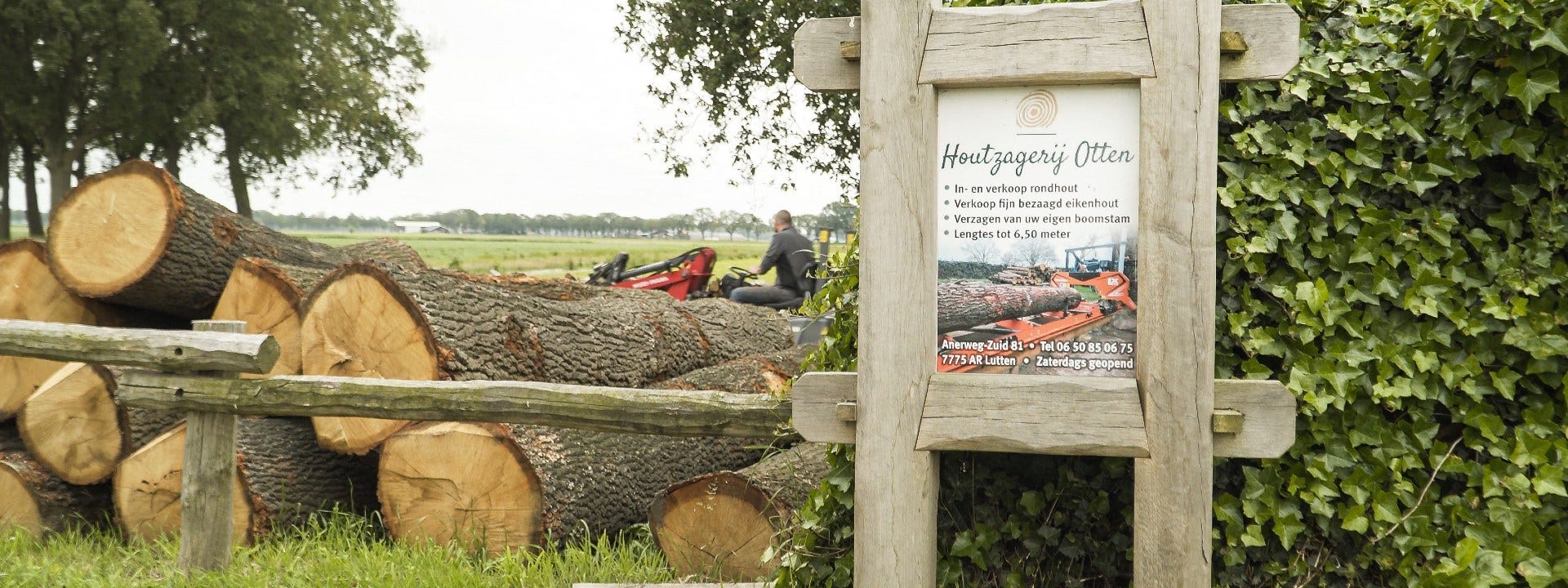 Sågning av ek med Wood-Mizer LX50 i Nederländerna