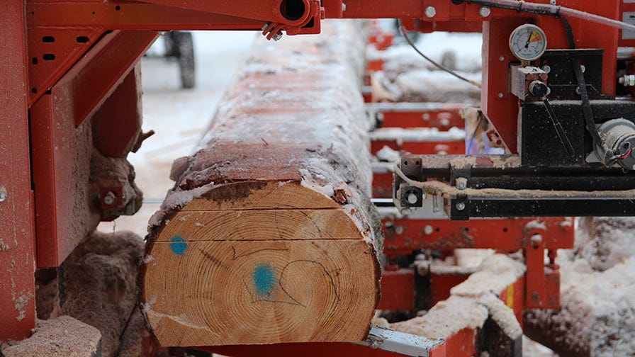 Wood-Mizer sawmill perfectly cuts timber even in winter, when logs are partially frozen